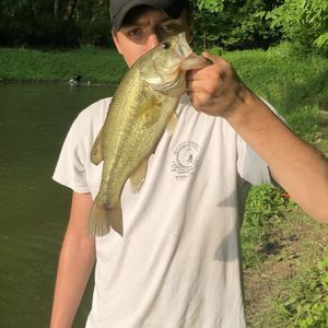 Meet your Posher, Caleb